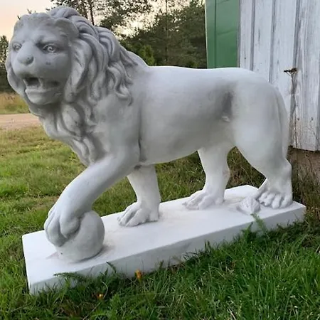 Basic Finland House With Big Garden