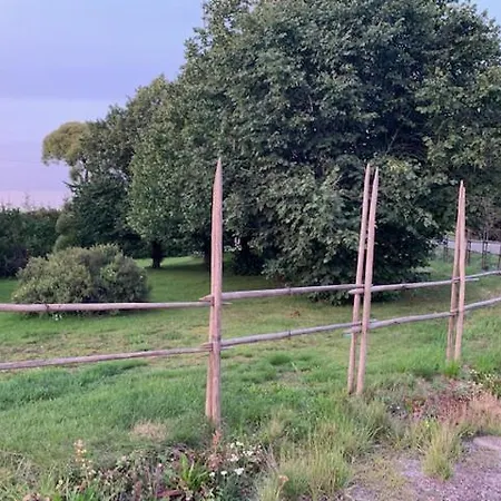 Basic Finland House With Big Garden *