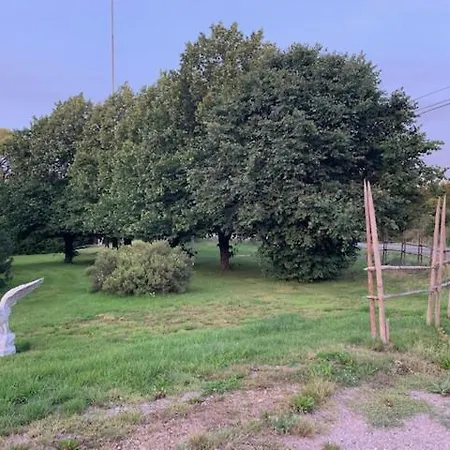 Basic Finland House With Big Garden * Vehmaa