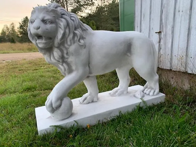 Basic Finland House With Big Garden