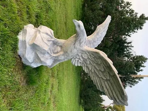 木屋 Basic Finland House With Big Garden Vehmaa