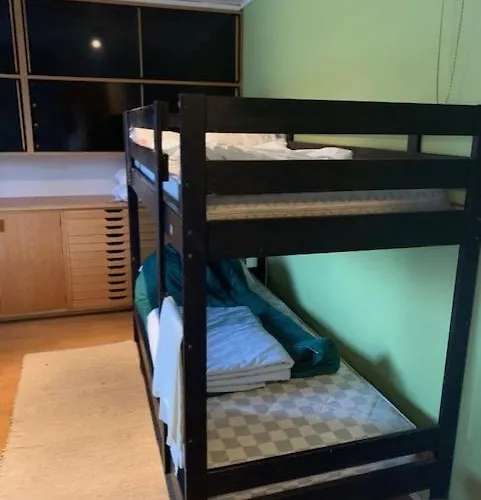 Basic Finland House With Big Garden